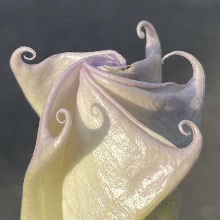 Wedding moodboard image 3